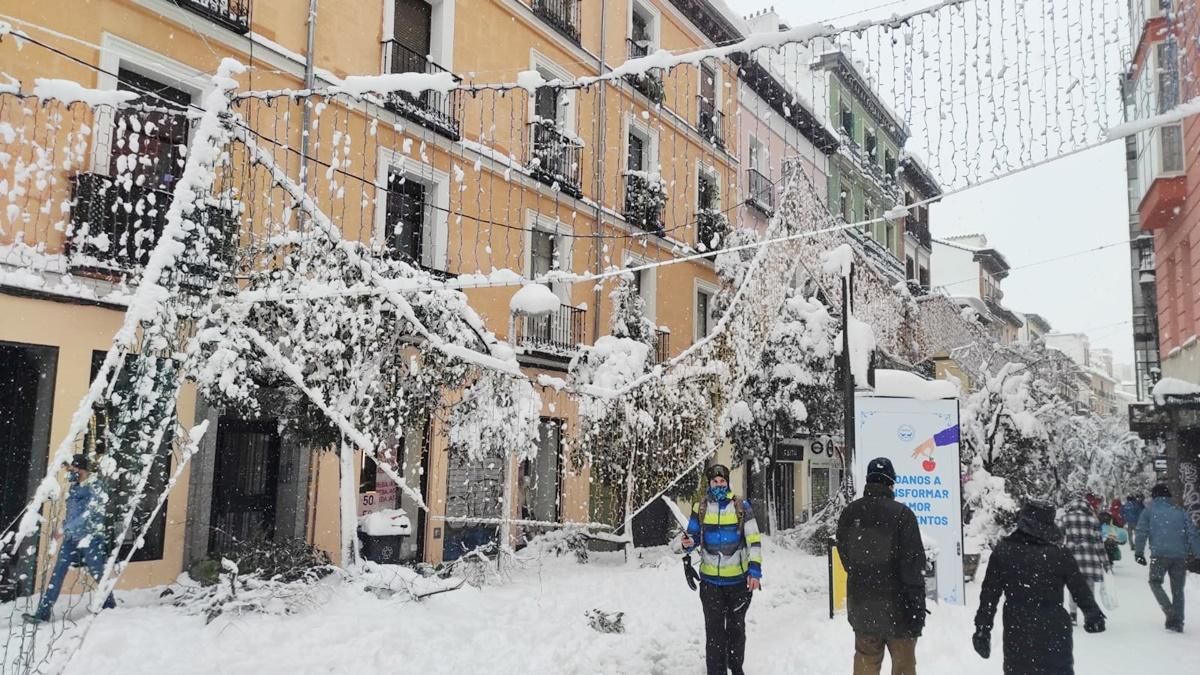 Alumbrado navideño y árboles tronchados en Fuencarral