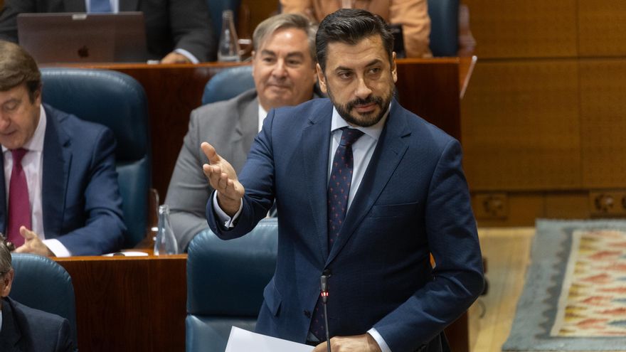 El portavoz del PP en la Asamblea, Carlos Díaz-Pache, interviene durante un pleno en la Asamblea de Madrid.