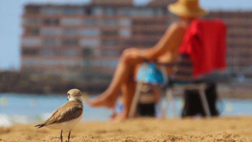 Las personas que ‘ponen el cuerpo’ por la vida salvaje frente al turismo masivo: “Es el planeta de varios millones de especies”