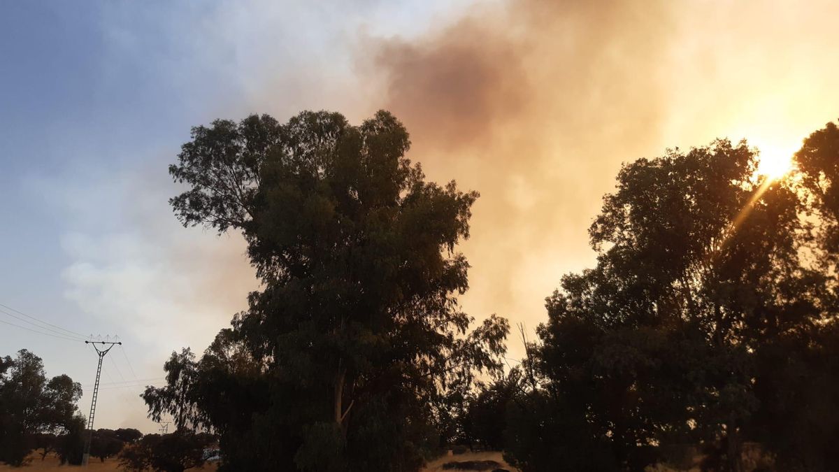 Imagen de la primera hora de la tarde en el Casar de Cáceres