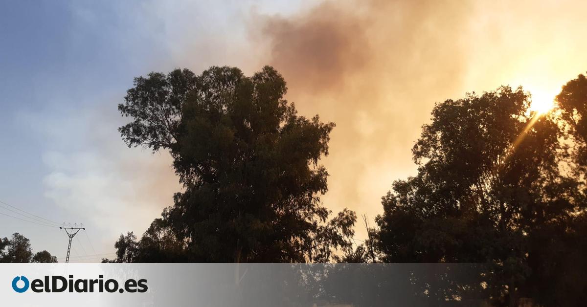 Dos nuevos incendios en Cáceres: se desalojan dos urbanizaciones en Arroyo de la Luz y Aliseda