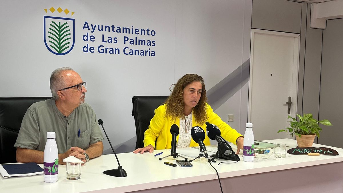 Las Palmas de Gran Canaria presenta un contrato para mantener las zonas verdes por 96 millones de euros