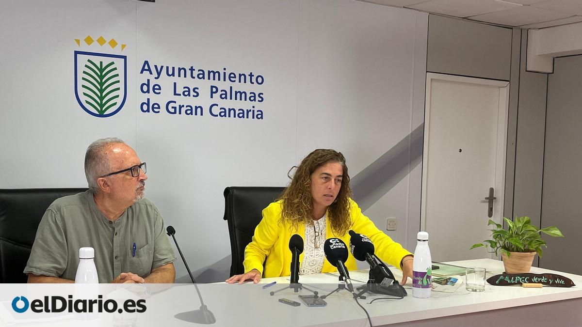 Las Palmas de Gran Canaria presenta un contrato para mantener las zonas verdes por 96 millones de euros