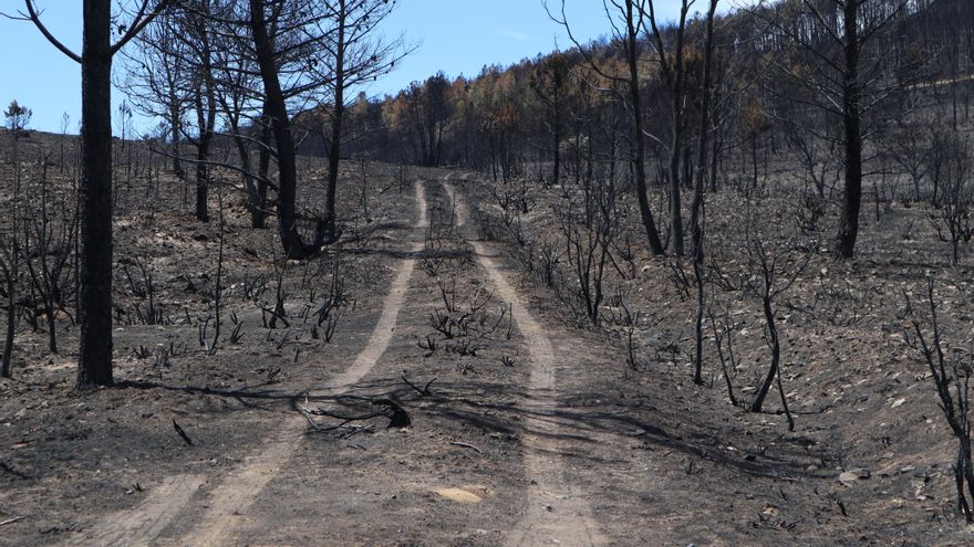 PP y Vox presentan un escrito de oposición a la comisión de investigación del incendio de la Culebra en las Cortes