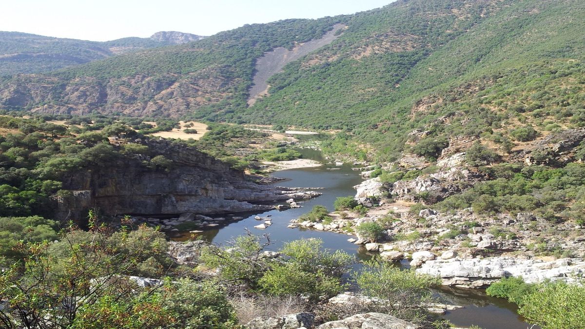 Más de 30 actividades gratuitas para disfrutar del otoño en los espacios naturales de Castilla-La Mancha