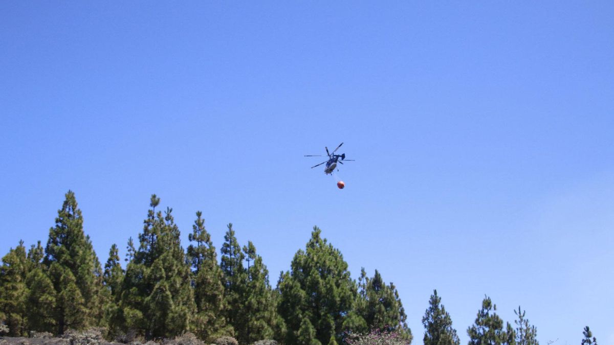 Finaliza la alerta por riesgo de incendios forestales en Gran Canaria