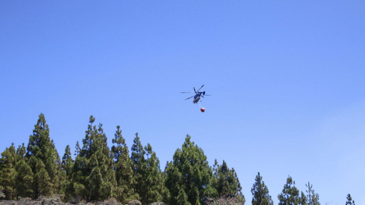 Finaliza la alerta por riesgo de incendios forestales en Gran Canaria