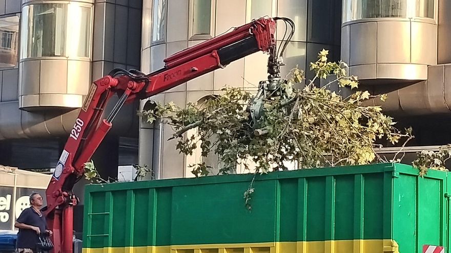 La Comunidad de Madrid tala 15 árboles en Avenida de América para instalar ascensores y reordenar el tráfico