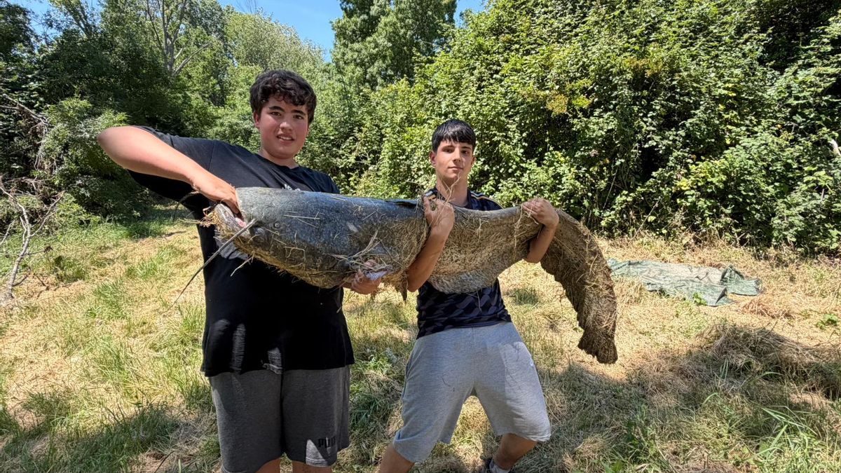 La hazaña de Leo en Logroño: saca del agua un siluro de 215 centímetros, el "monstruo" que devora la fauna del Ebro
