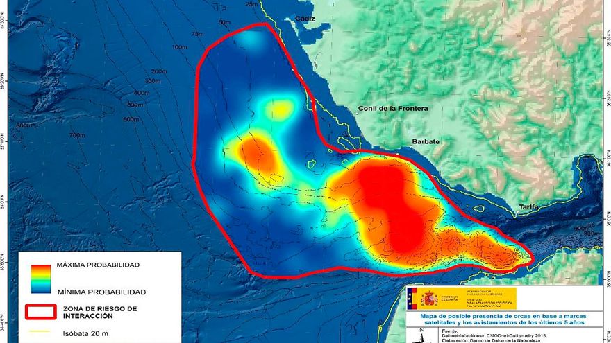 Las interacciones de las orcas con embarcaciones se redujeron un 40 % en el verano pasado