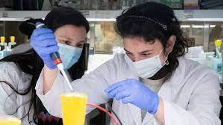 Ciencia sin descanso: los aportes de las y los investigadores argentinos en el segundo año de pandemia