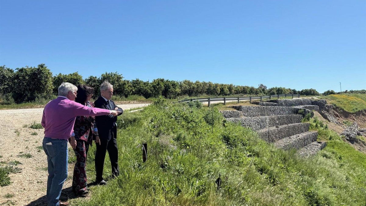 Cifran en 300.000 euros el coste de reparar los caminos afectados por las borrascas en Palma del Río