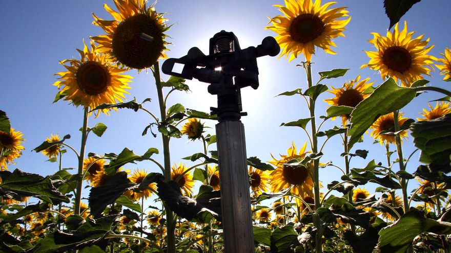 Asaja carga contra la gran línea eléctrica proyectada en León para evacuar energía eólica de Palencia: "Aberrante"