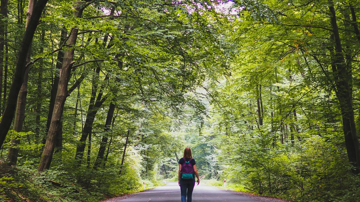 Los expertos aseguran que hemos subestimado completamente la manera en que el cerebro humano es influido por su entorno.