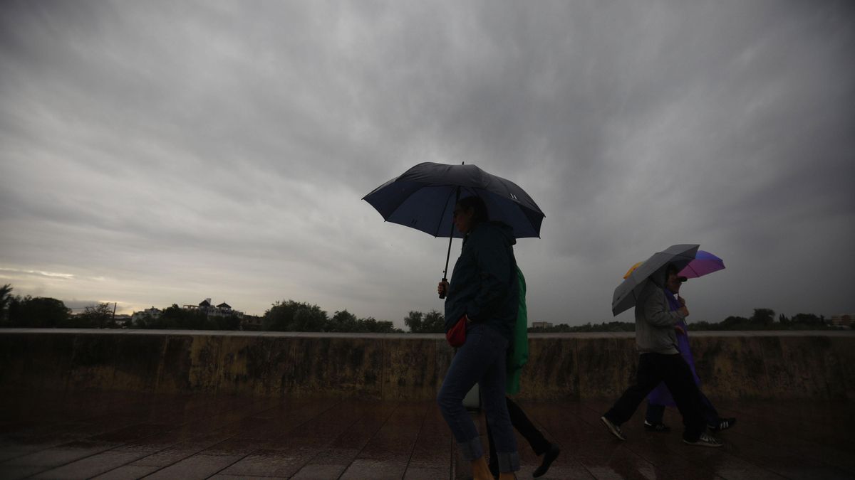 Castilla-La Mancha desactiva el METEOCAM tras terminar los avisos por fuertes lluvias