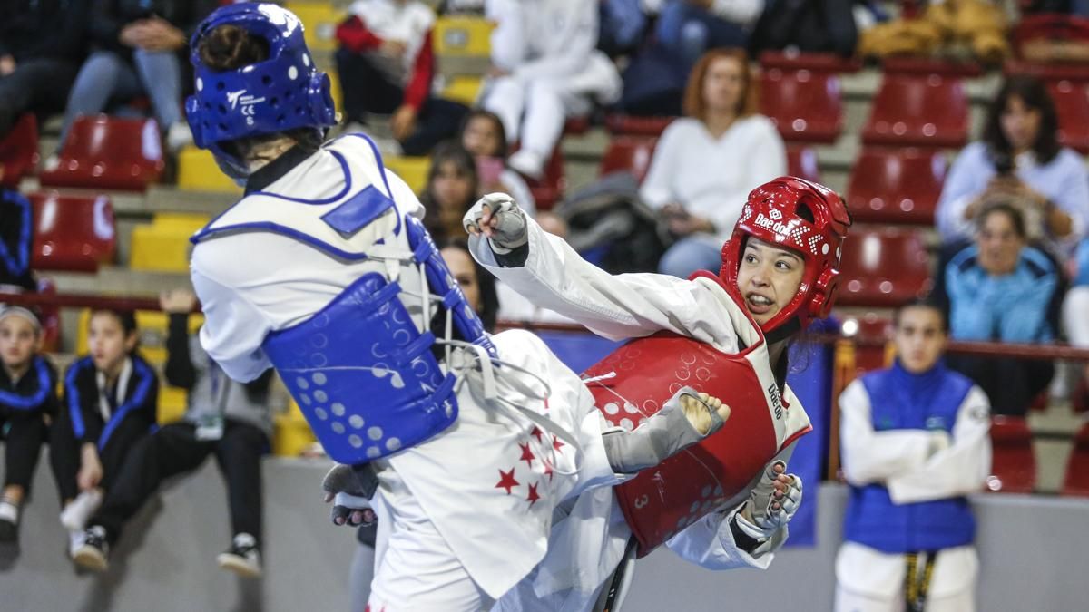Open internacional de Andalucía de Taekwondo y Copa Iberdrola