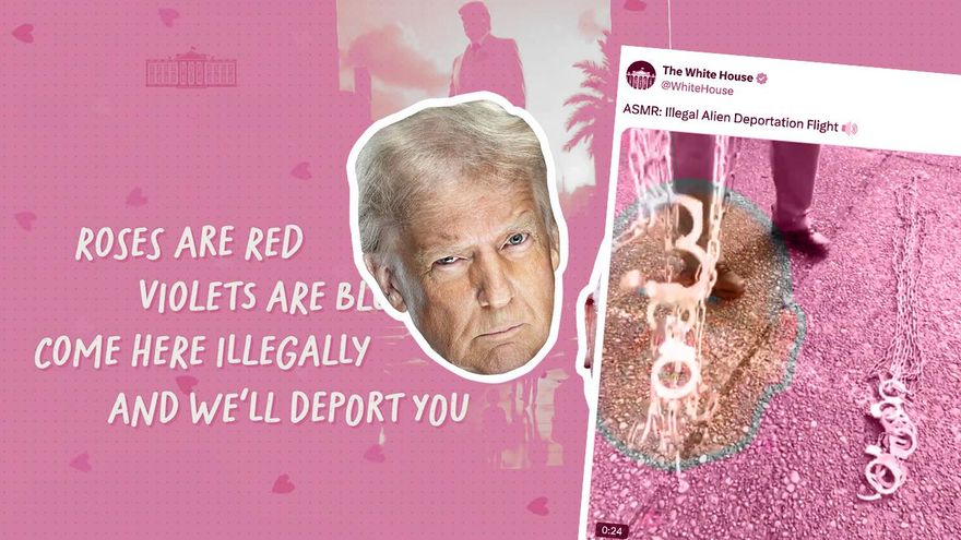 De los márgenes de la red a la Casa Blanca: cómo la nueva era Trump normaliza el Internet "lleno de mierda"