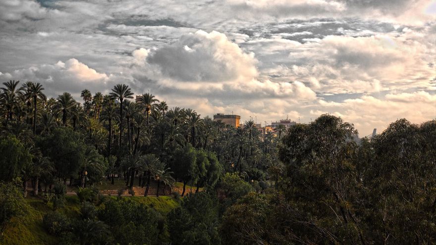 Qué ver en Elche: palmeras y mucho más en la pequeña joya del Levante
