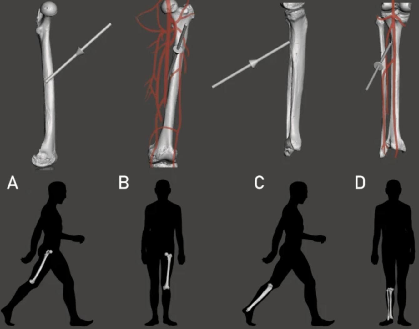 Reconstrucción de la trayectoria