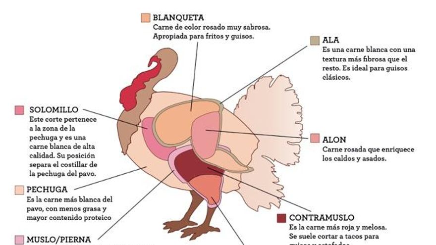 partes del pavo