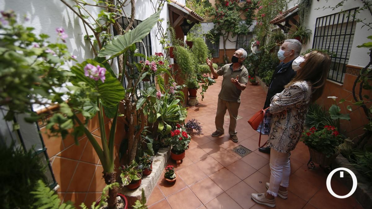 Patio en la C/ Barrionuevo, 43