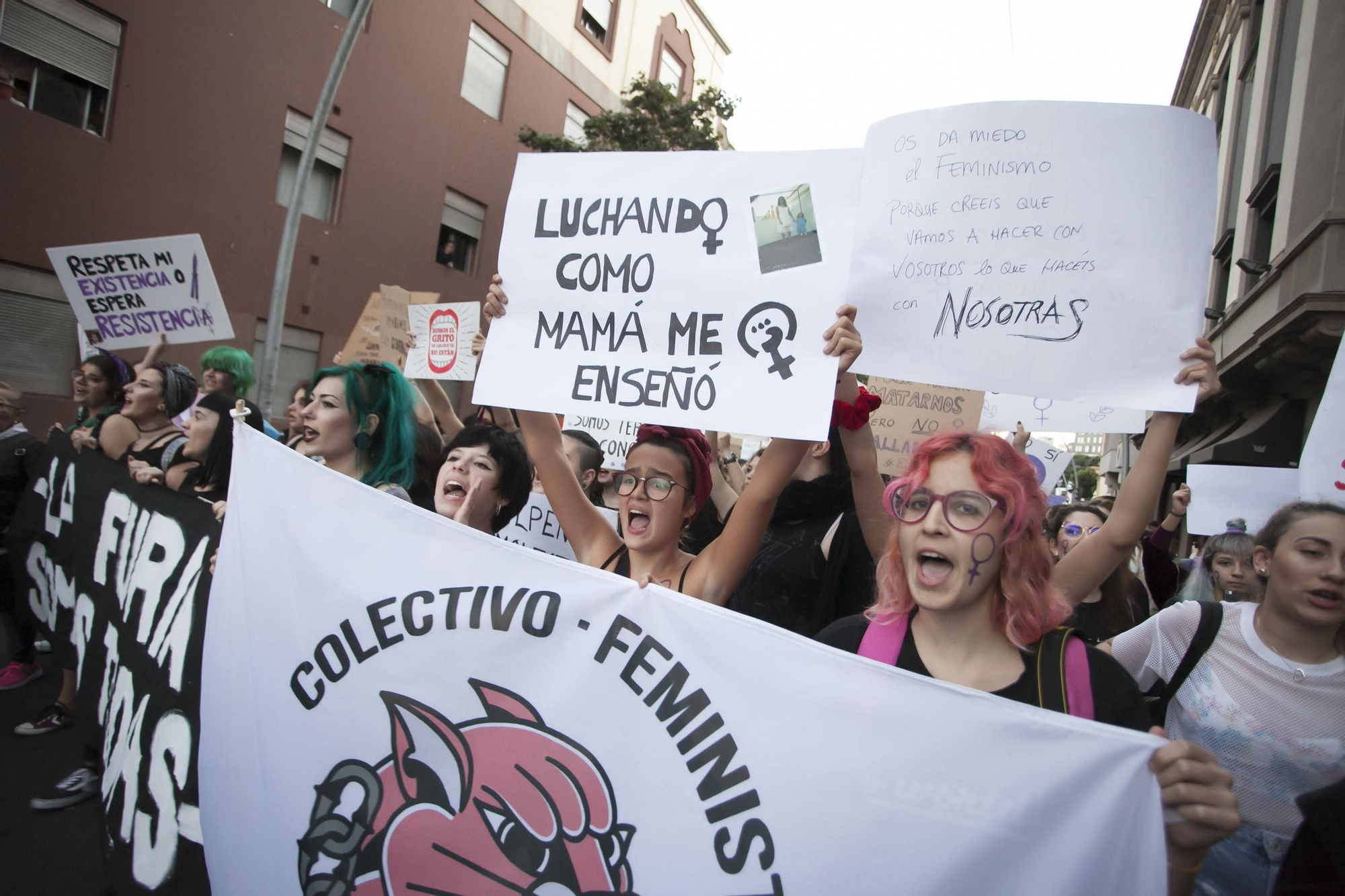 Un grupo de manifestantes femeninas, esta tarde noche en Santa Cruz