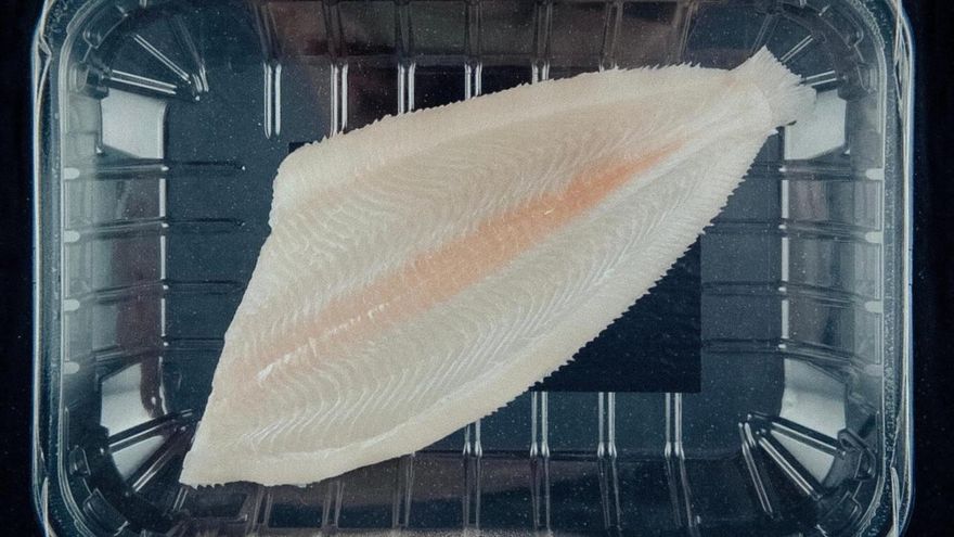 Lenguados en la central nuclear de Lemoiz: el Gobierno vasco presenta al fin el plan para dar uso a la mole abandonada