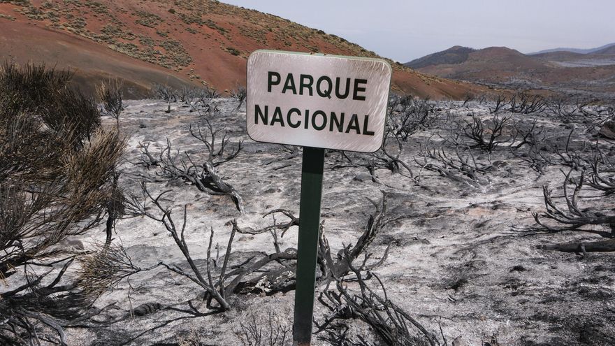 El Parque Nacional del Teide este jueves tras el paso del incendio forestal que afecta a la isla de Tenerife. EFE/Alberto Valdés