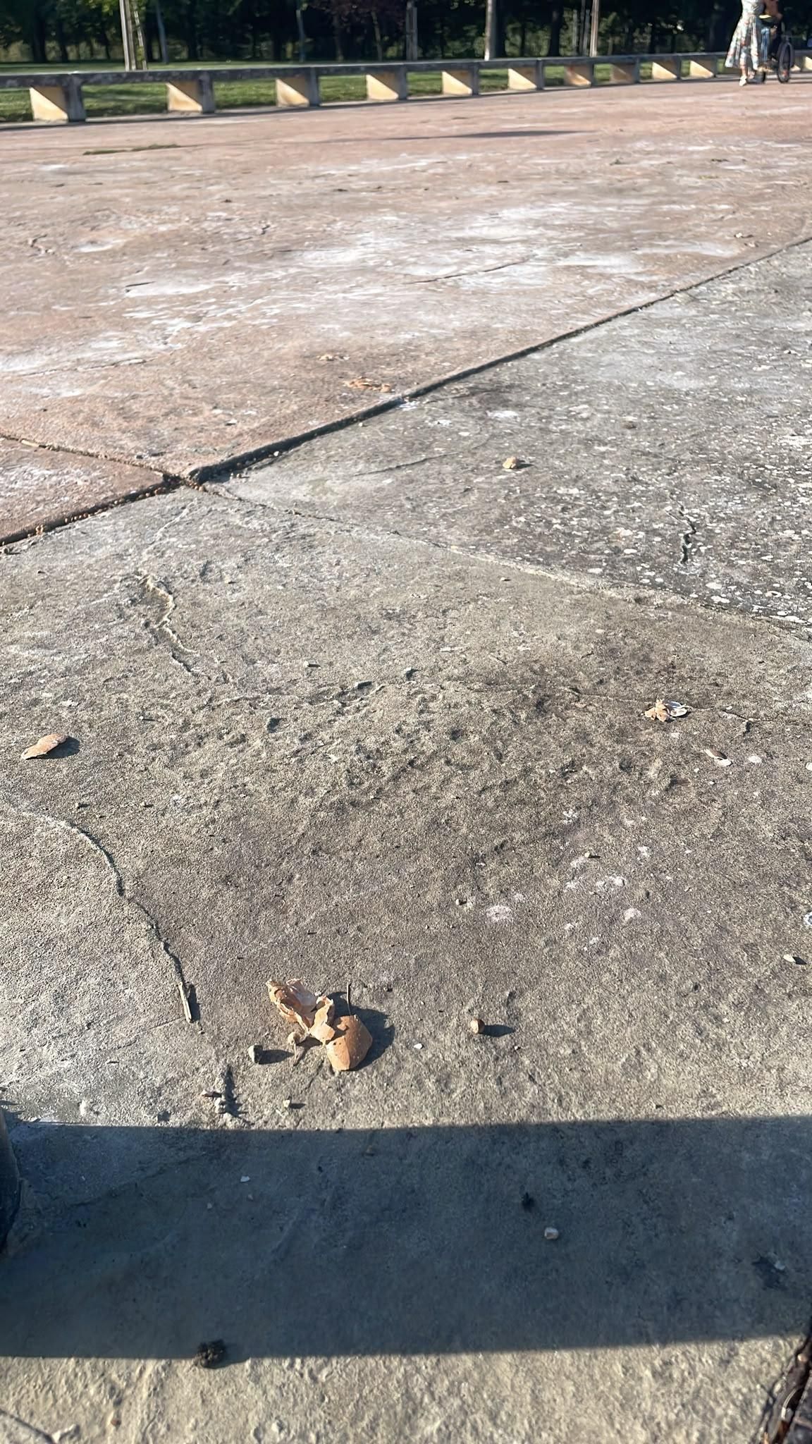 Suciedad en el Parque del Ebro de Logroño