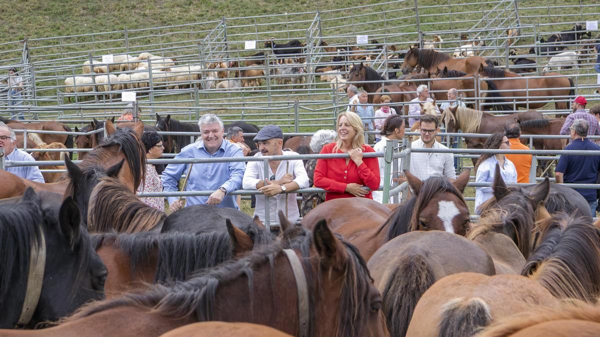 La Feria de Ganado de Puentenansa reúne 1.400 animales de 20 municipios