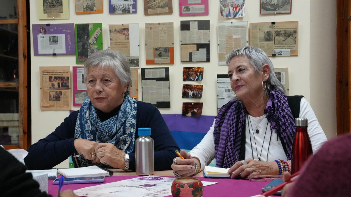 Reunión de integrantes Plataforma Cordobesa contra la Violencia a las Mujeres preparando el 25N