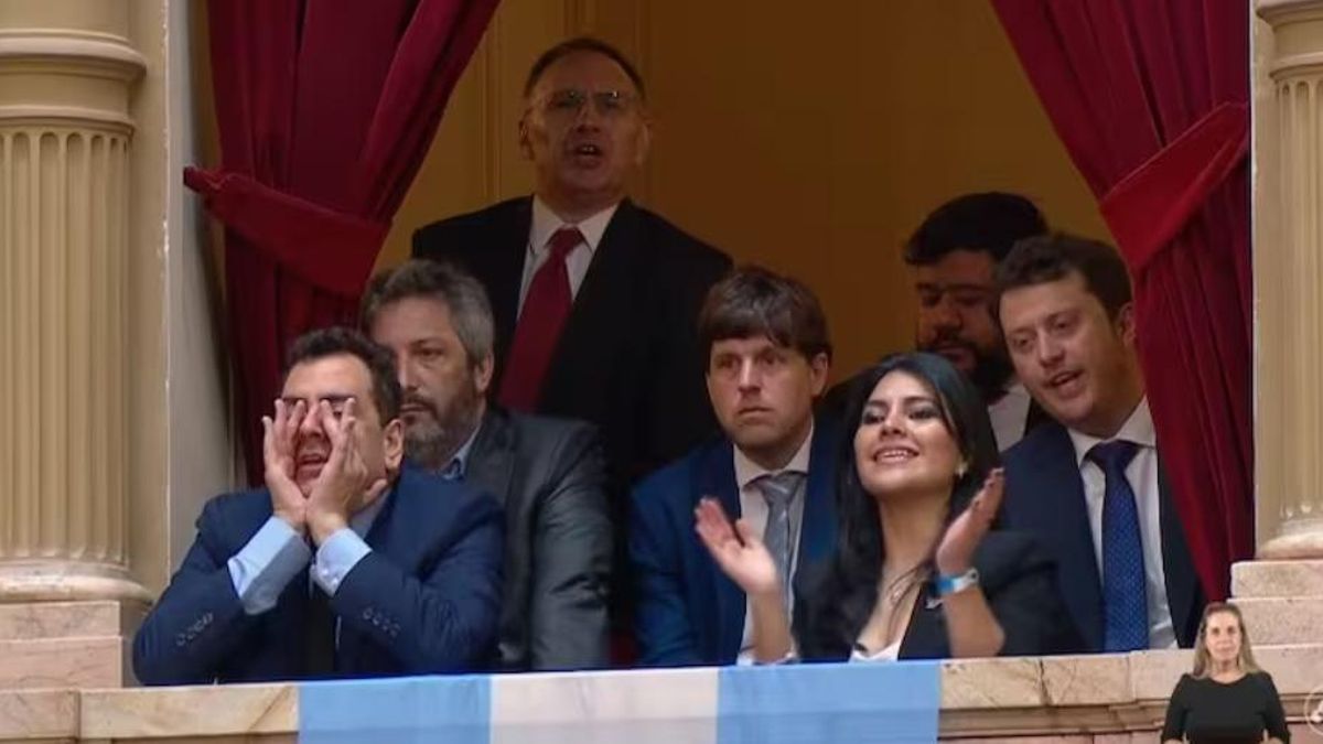 Belén Agudiez en uno de los palcos de la Cámara de Diputados.