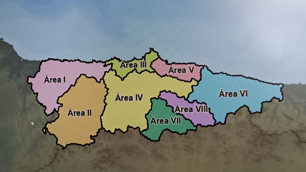 Las ocho áreas sanitarias en las que estaba distribuida Asturias.
