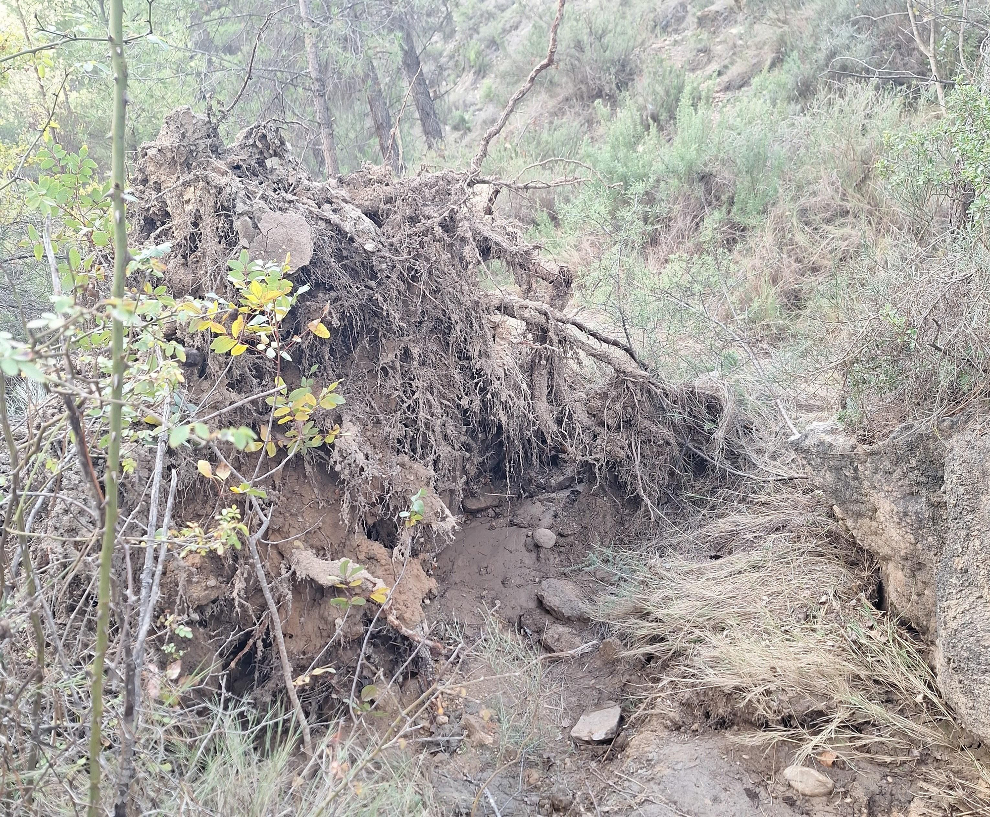 Los daños ocasionados por la DANA en Las Chorreras del Cabriel obligan a prohibir el baño y cerrar el acceso por la margen derecha del río.