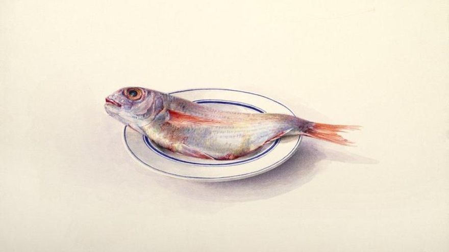 El vaso duralex y otras cartografías de lo cotidiano