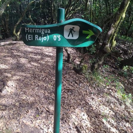 Señal doblada en el Garajonay, La Gomera