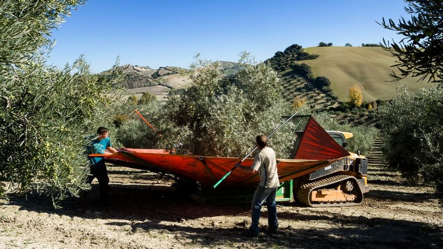 Cuando la Economía Social pierda su apellido, y la capitalista lo tenga
