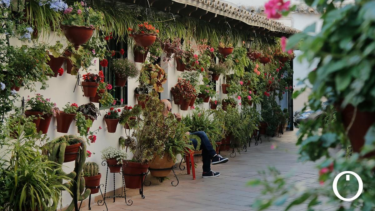 Patios de Córdoba. Ruta Realejo-Regina