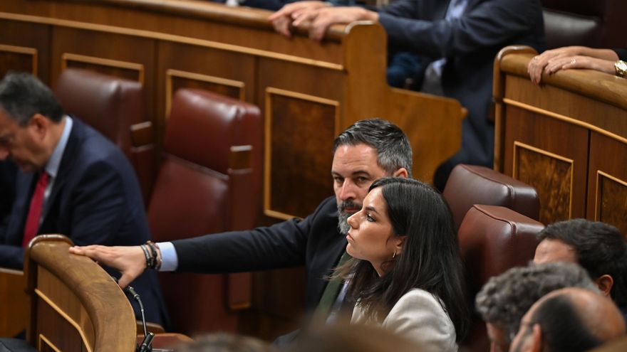 Los talibanes de Abascal no dan tregua a los que creen que pintan algo en Vox