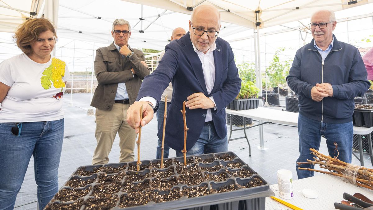 Antonio Morales, durante la visita al vivero.