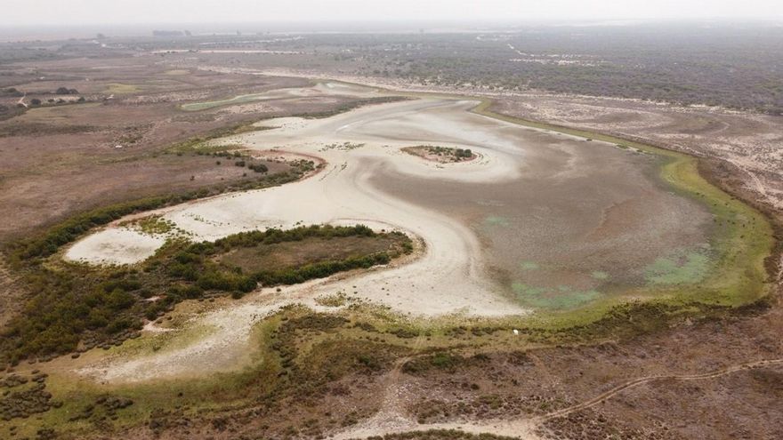 La última laguna permanente de Doñana se seca por segundo año consecutivo cercada por la sequía y los regadíos ilegales
