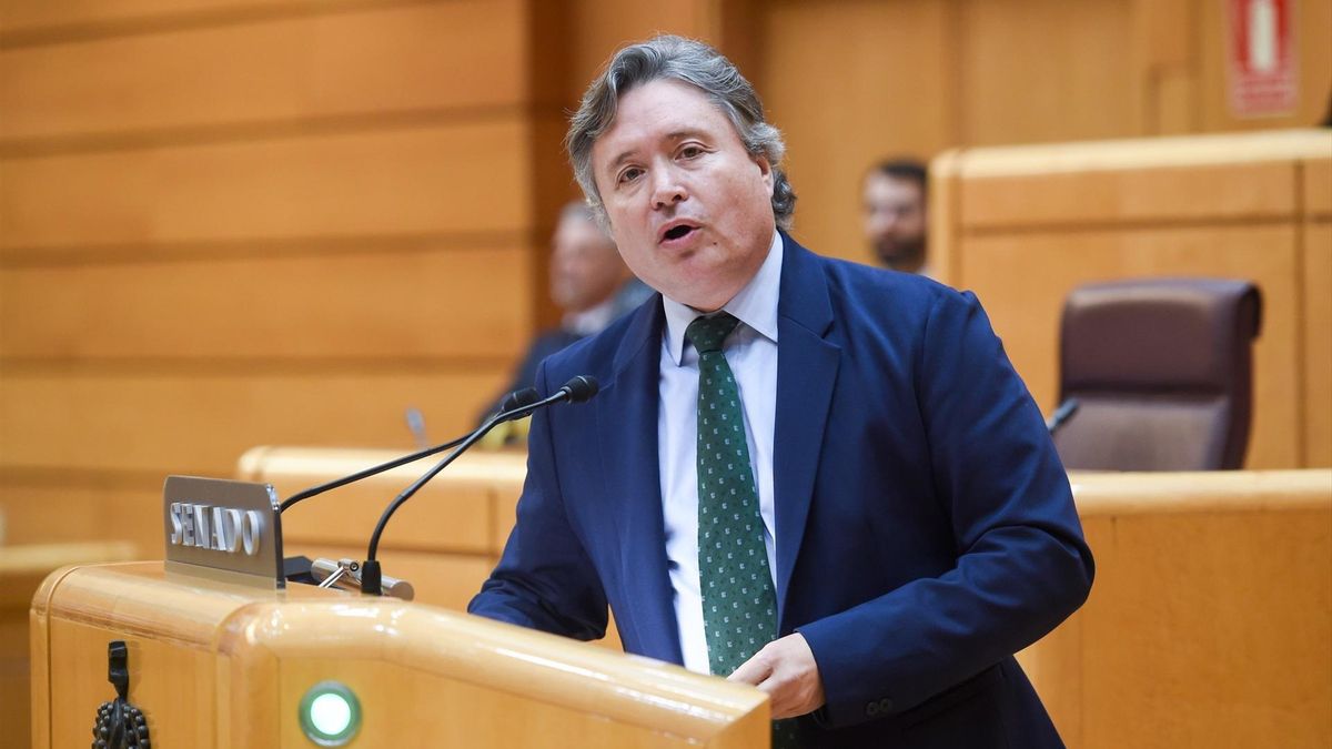 El senador del PP Luis Javier Santamaría.