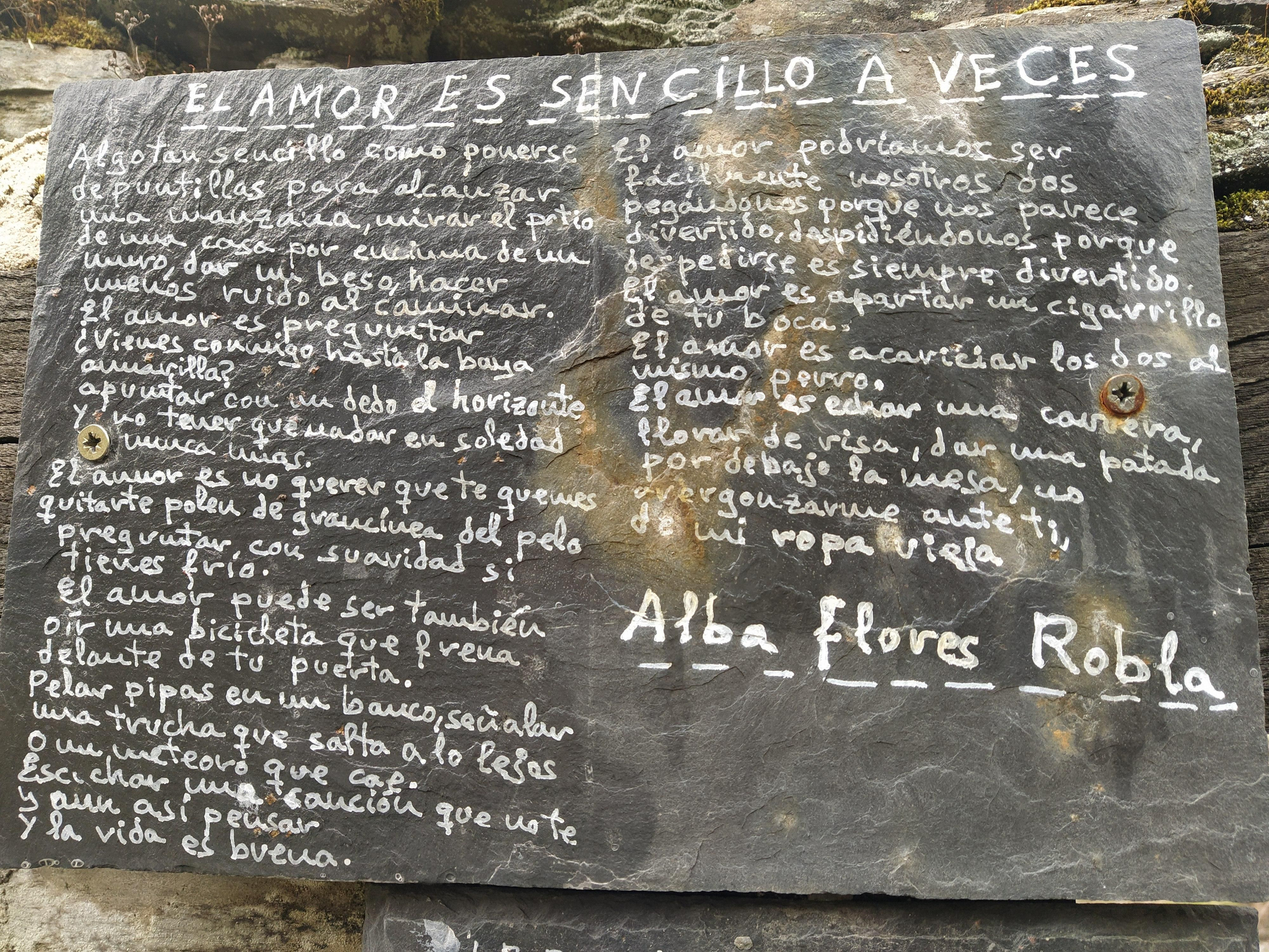 Pared de la poesía en Primout