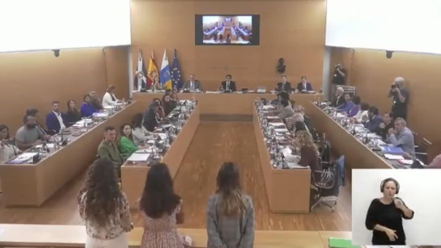 Activistas contra las obras en el Puertito de Adeje interrumpen el pleno del Cabildo de Tenerife: "Si estamos aquí es porque no podemos más"