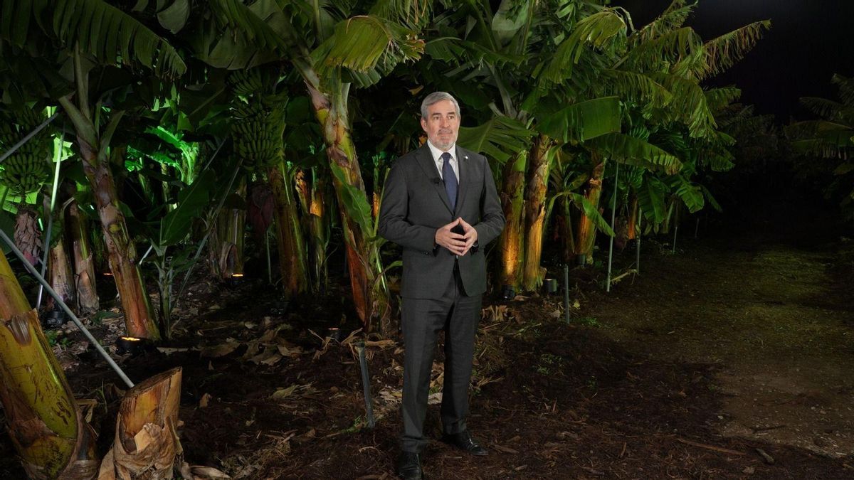 Clavijo:  “El esfuerzo de reconstrucción de La Palma es historia, presente y, sobre todo,  futuro”