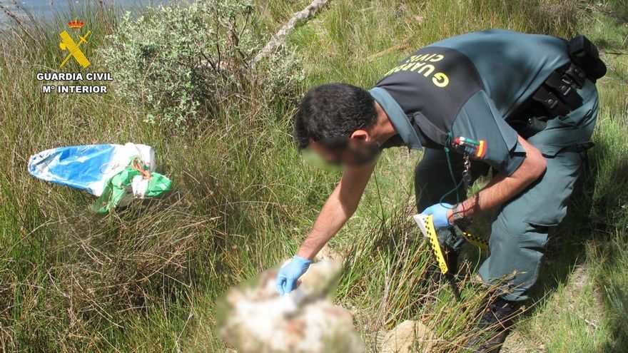 Investigan a un hombre por arrojar cinco crías de mastín al embalse de Valparaíso en Zamora