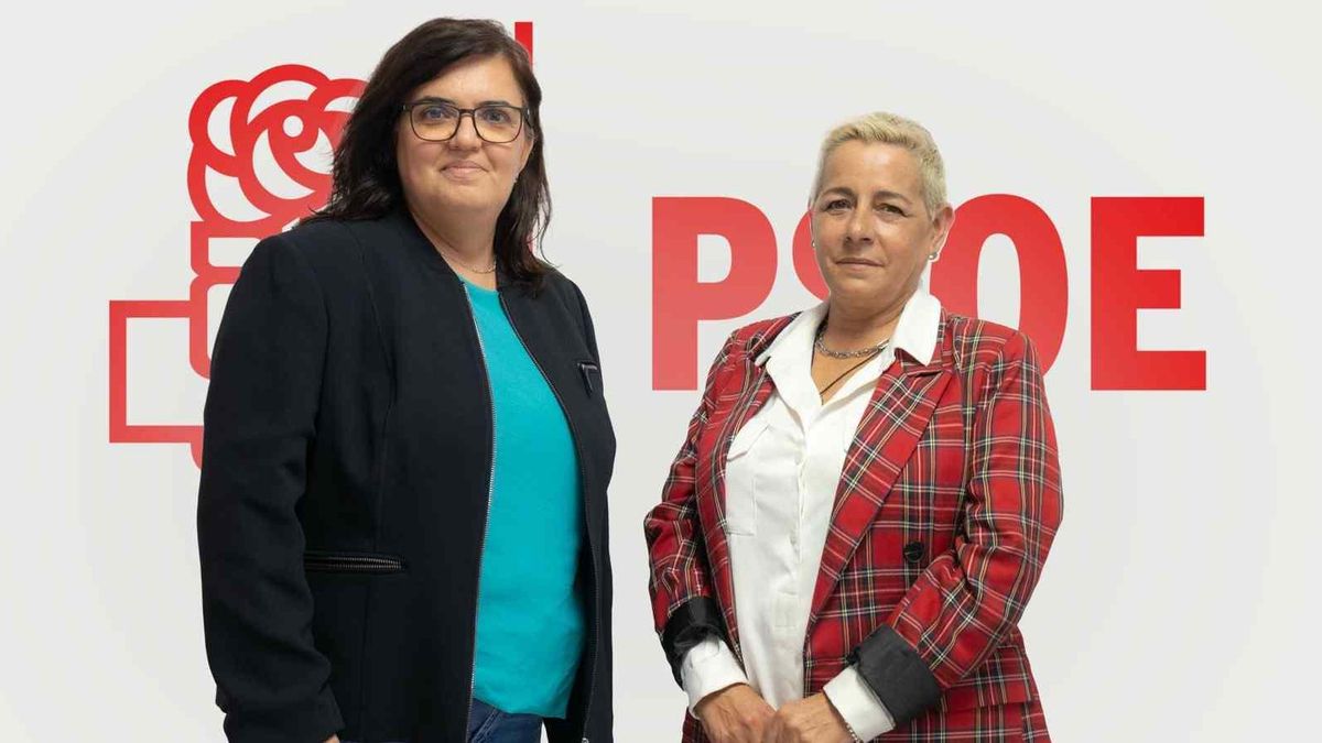 Grupo Municipal del PSOE de Breña Baja.