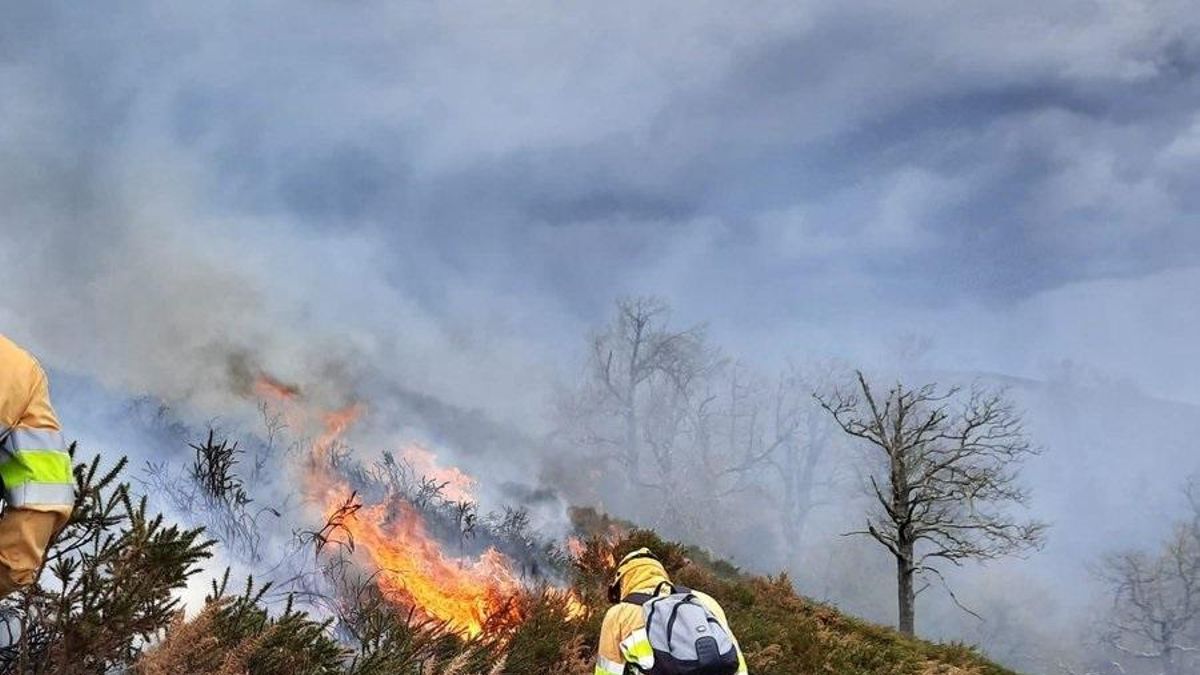 Incendio forestal en Cantabria