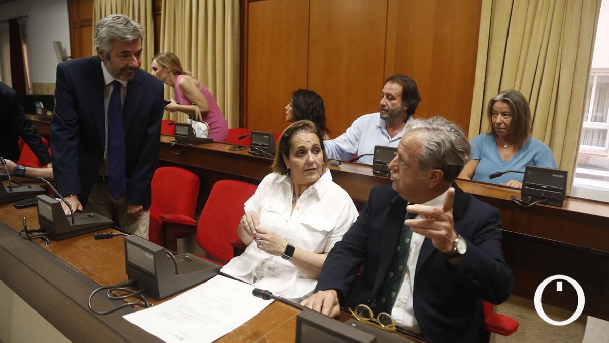 Pleno Extraordinario organizativo