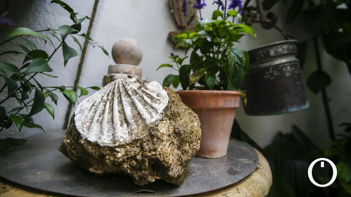 Patio en la C/ La Palma, 3